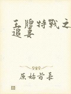 王牌特战之军少追妻封面