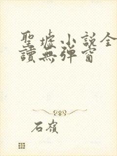 圣墟小说全文阅读无弹窗