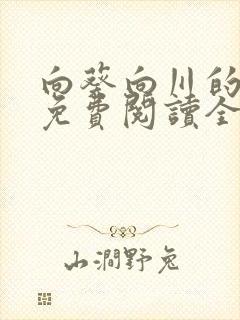 向葵向川的小说免费阅读全文