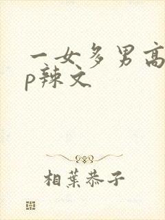 一女多男高hnp辣文