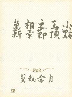 万相之王小说最新章节顶点