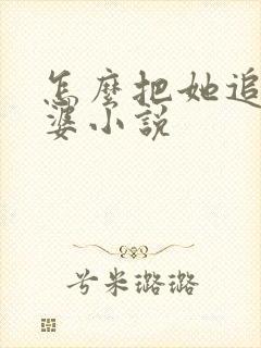 怎么把她追成老婆小说