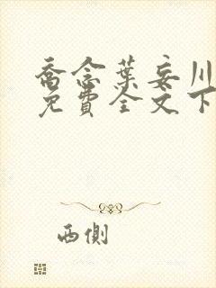 乔念叶妄川小说免费全文下载
