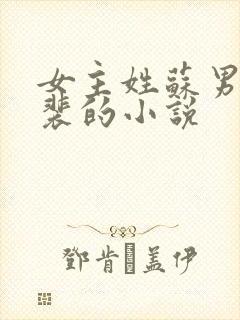 女主姓苏男主姓裴的小说