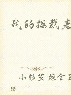 我的总裁老妈