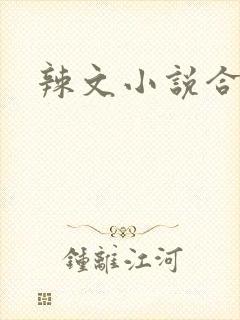 辣文小说合集