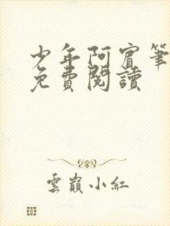 少年阿宾笔趣阁免费阅读