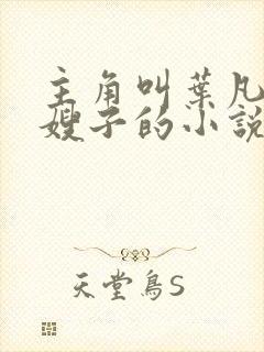 主角叫叶凡七个嫂子的小说