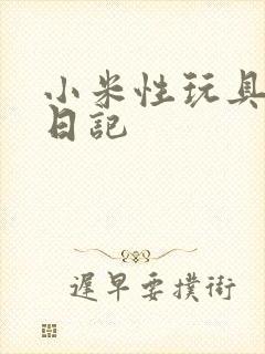 小米性玩具羞辱日记