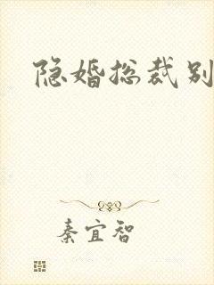隐婚总裁别太坏