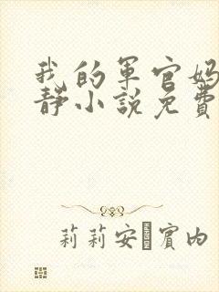 我的军官妈妈王静小说免费阅读