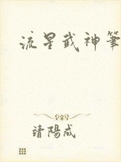 流星武神笔趣阁