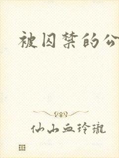 被囚禁的公主