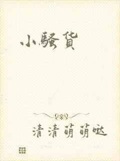 小骚货