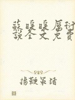 苏暖暖厉衍琛小说全文免费阅读