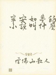 宁安如梦的原著小说叫什么封面