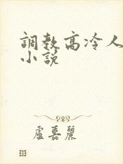 调教高冷人妻的小说