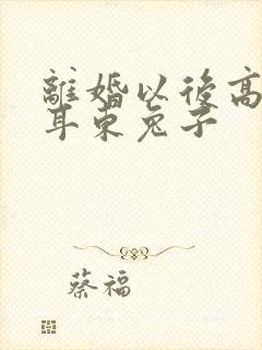 离婚以后高干 耳东兔子