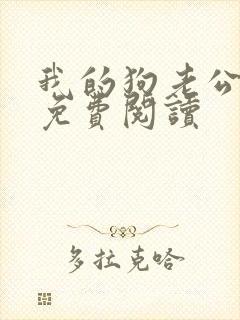 我的狗老公小说免费阅读