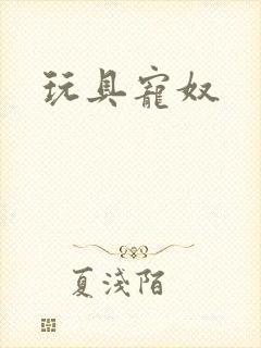 玩具宠奴