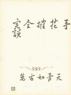 完全摧花手册小说封面