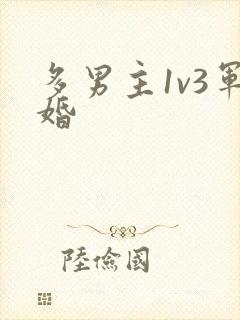 多男主1v3军婚