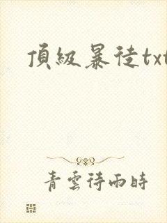 顶级暴徒txt