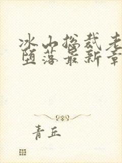 冰山总裁老婆的堕落最新章节免费阅读