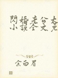 闪婚老公太凶猛小说全文免费阅读封面