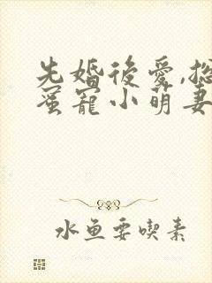 先婚后爱,总裁蜜宠小萌妻