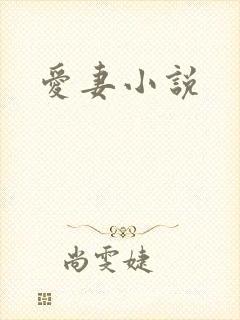 爱妻小说