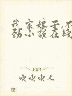 我家娘子,不对劲小说在线免费