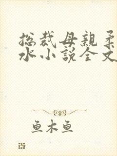 总裁母亲柔情似水小说全文阅读