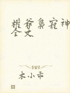 权爷枭宠神秘妻全文封面