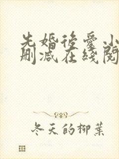 先婚后爱小说无删减在线阅读
