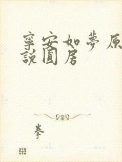 宁安如梦原著小说圆房