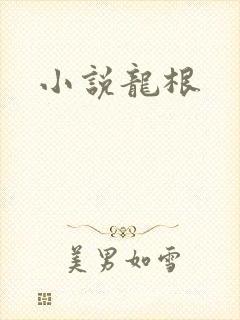 小说龙根封面