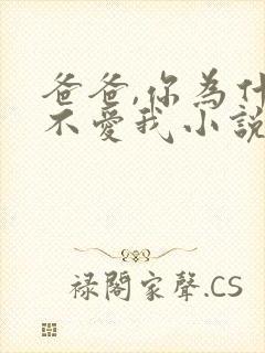 爸爸,你为什么不爱我小说免费阅读