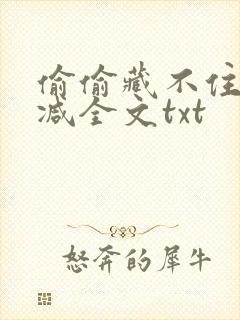 偷偷藏不住无删减全文txt