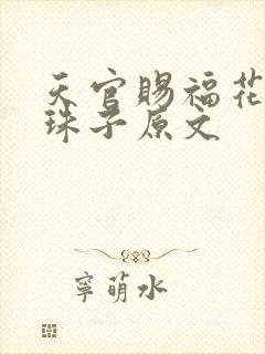 天官赐福花怜塞珠子原文