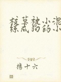 校草被小混混训练成狗的小说