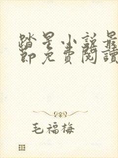 踏星小说最新章节免费阅读