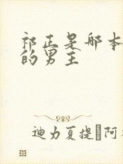 祁正是哪本小说的男主封面