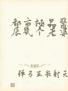 都市极品医神叶辰几个老婆