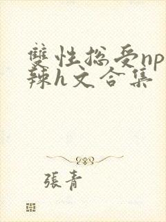 双性总受np高辣h文合集