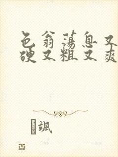 色翁荡息又大又硬又粗又爽电影