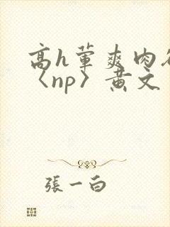 高h荤爽肉欲文〈np〉黄文