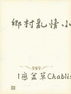 乡村乱情小说