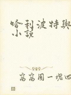 哈利波特与密室小说封面