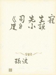 《司先生宠妻无度》小说